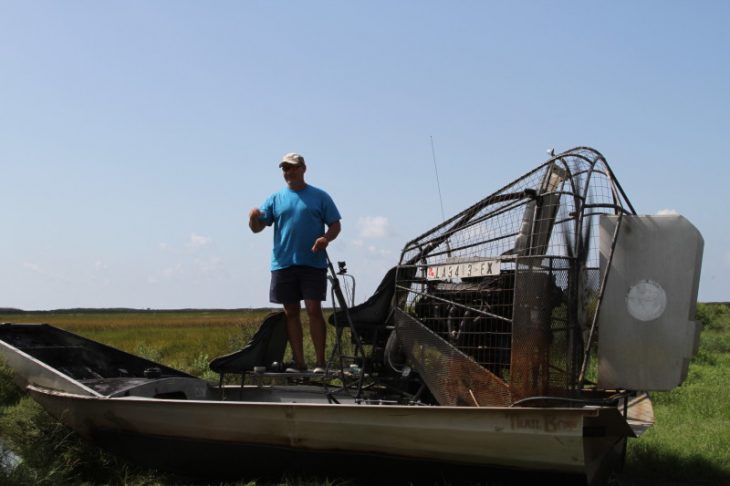 Airboats & Alligators