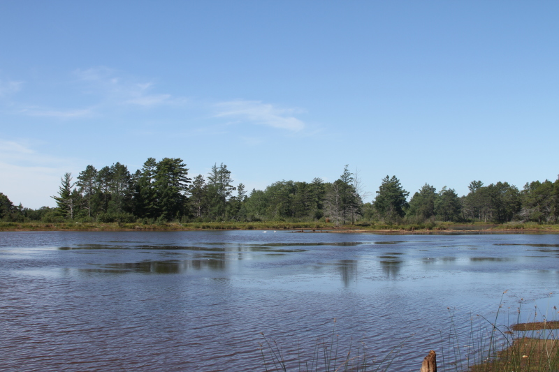 Seney National Wildlife Refuge