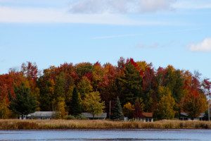 fall colors