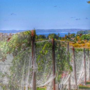 Bowers Harbor