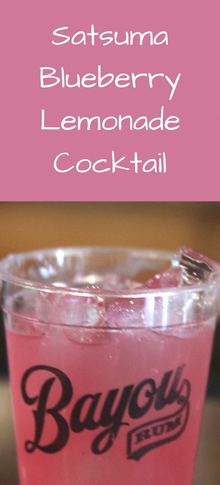 Bayou Rum & Cocktail Recipes Just Short of Crazy