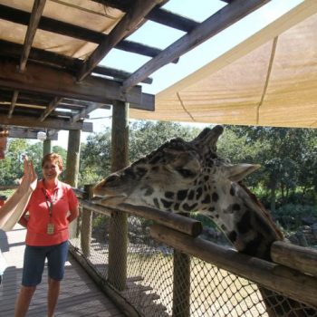 Brevard Zoo