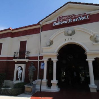 ripleys believe it or not