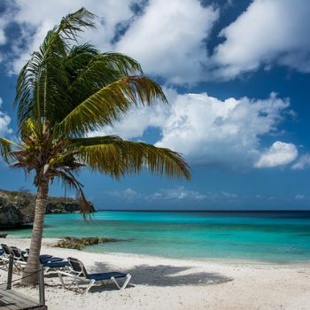 tropical vacation