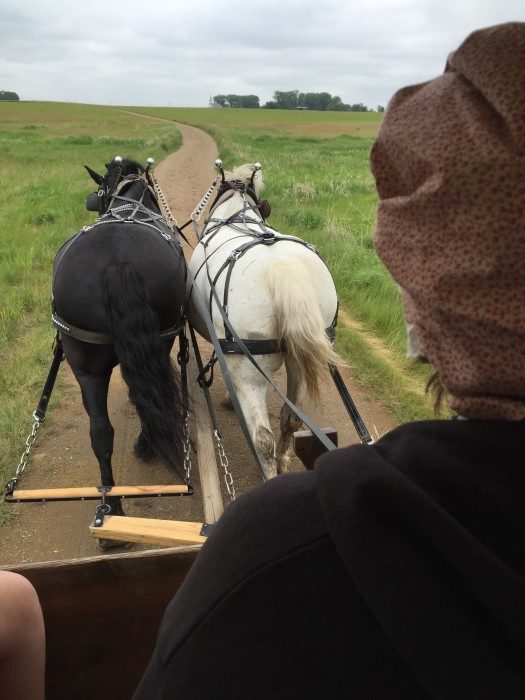 Laura Ingalls Wilder