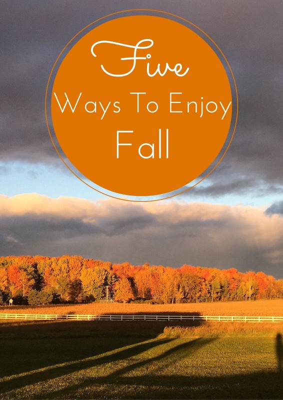 enjoy fall