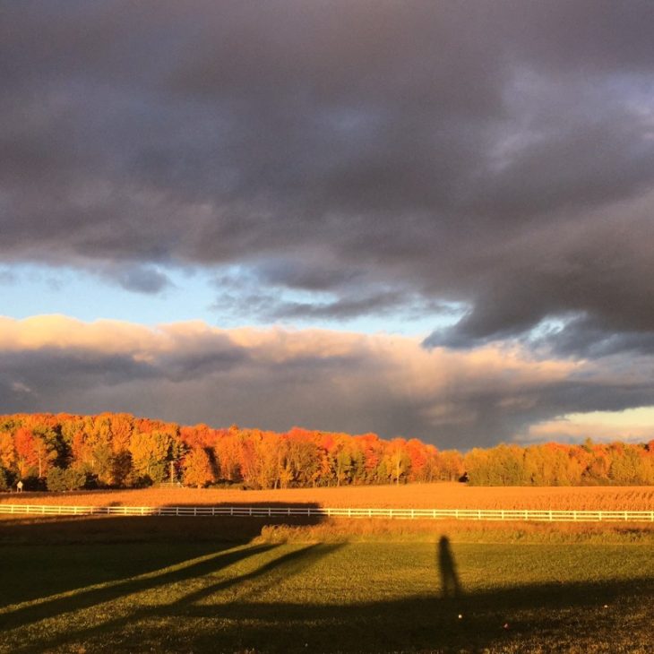 enjoying fall