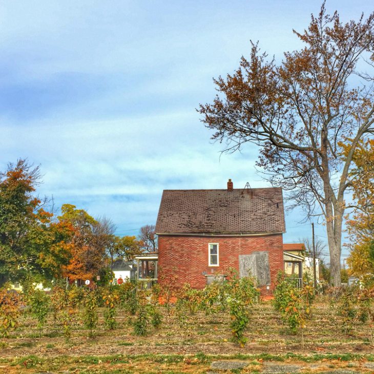 michigan ag