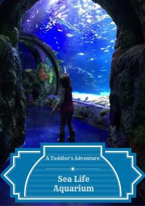 A Toddler’s Adventure at Sea Life Aquarium Michigan
