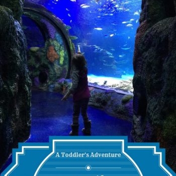 taking a toddler to sea life aquarium