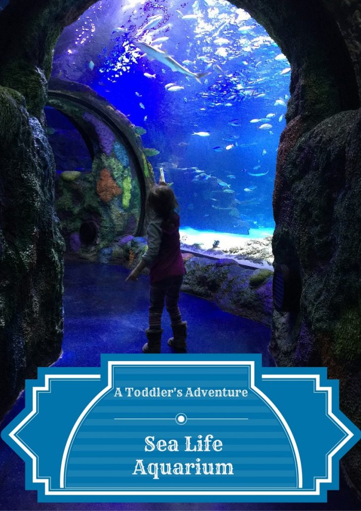 taking a toddler to sea life aquarium