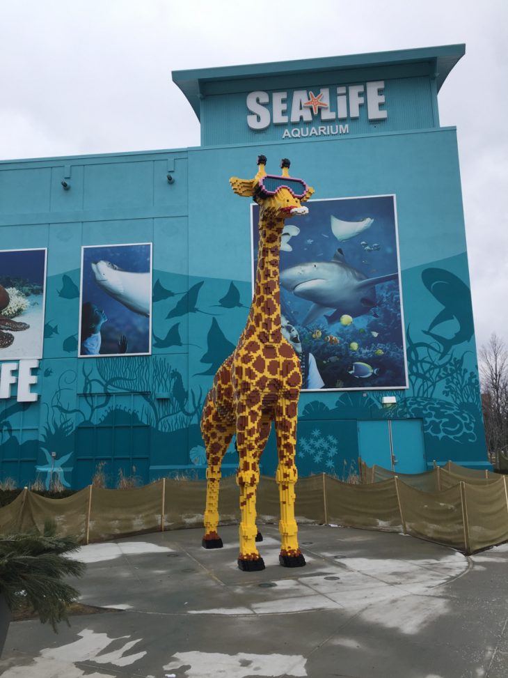 a toddler's adventure at sea life aquarium