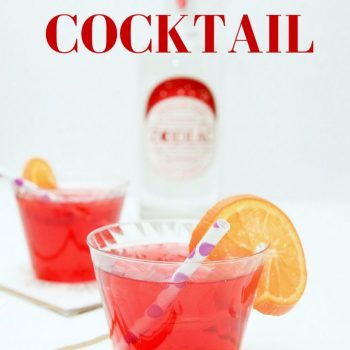 Berry Vodka Cocktail Recipe