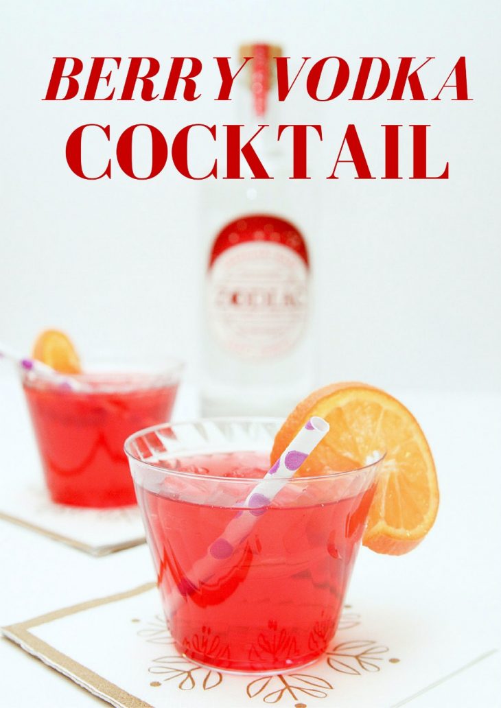 Berry Vodka Cocktail Recipe