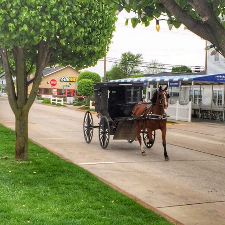 A Visit To Amish Country: Shipshewana, In