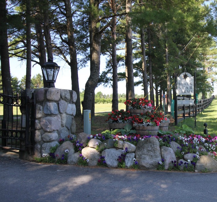 Inn at Black Star Farms 