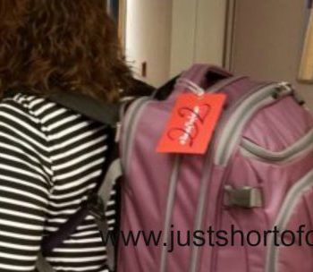 plus size clothes