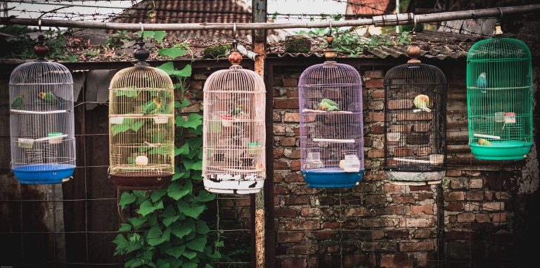 Five good reasons to visit Bandung - Just Short of Crazy