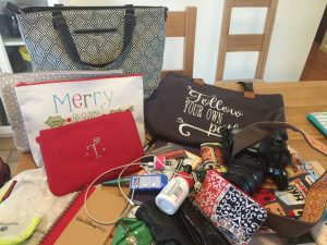 travel blogger
