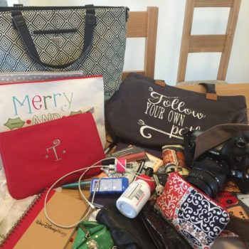 travel blogger
