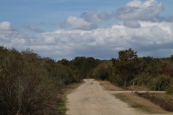 Corolla Outback Adventures 