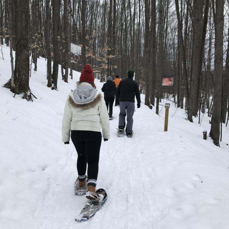 Photo of a group snowshoeing.