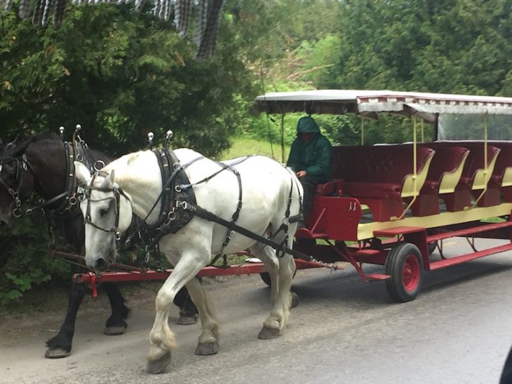 Mackinac Island horse and carriage taxi