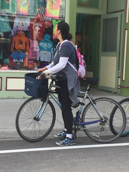 girl on bike in downtown Mackinac Island