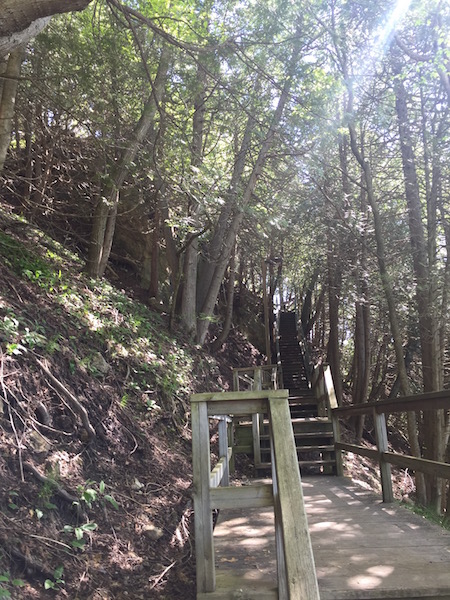 wooden staircase hiking trail On Mackinac Island