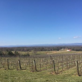 Great Girlfriend Getaway To Winston Salem