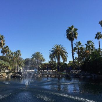 Move To California