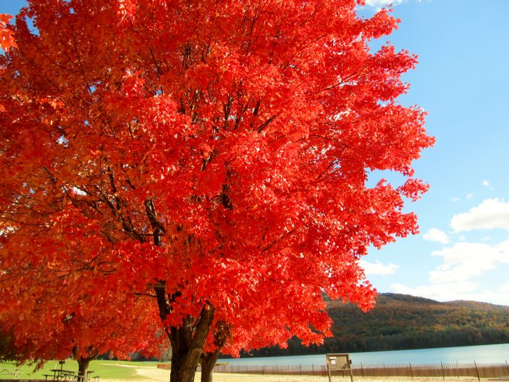 Fall Color Tour Across The Mid-Atlantic States