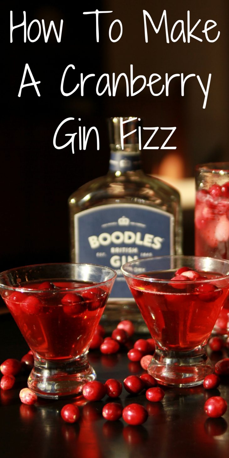 cranberry gin fizz