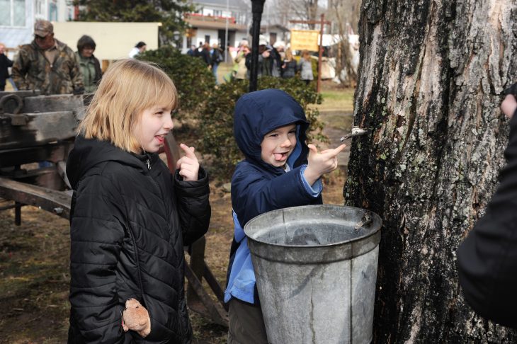 Maple fun in Pennsylvania