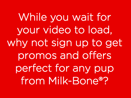Milk-Bone dogs are more