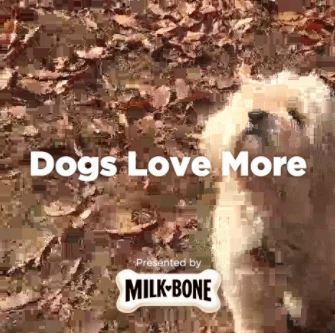 Milk-Bone dogs are more