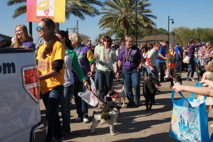 Mystical Krewe of Barkus Mardi Gras Parade 8