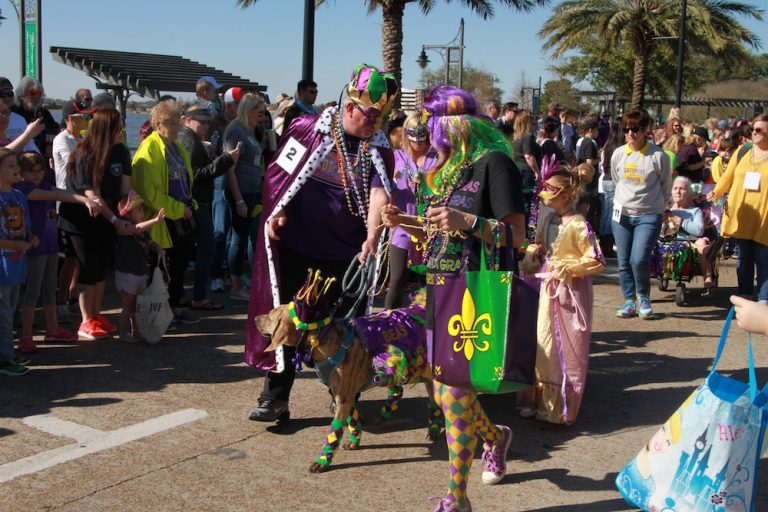 Mystical Krewe of Barkus Mardi Gras Parade