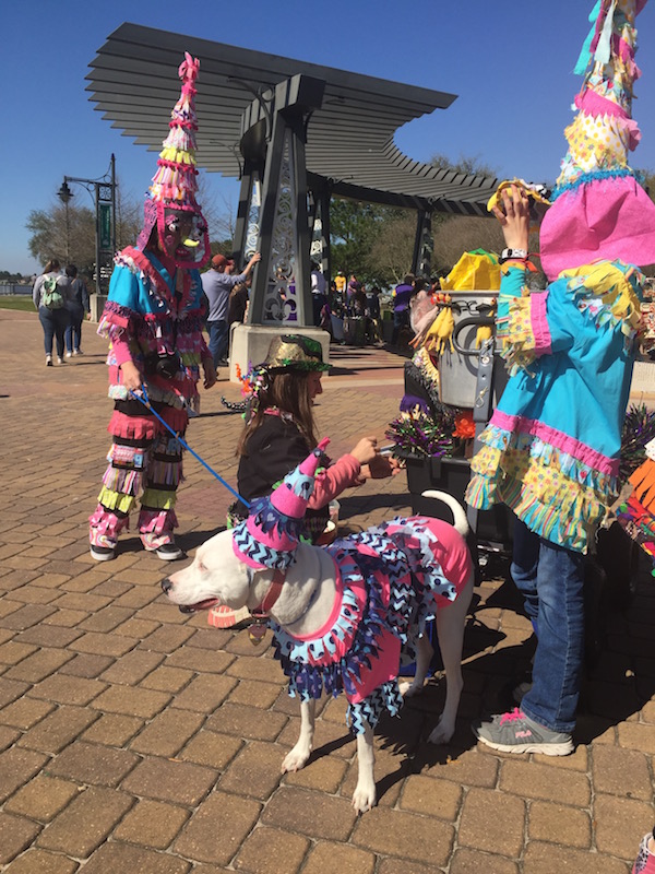 Mystical Krewe of Barkus Mardi Gras Parade 8