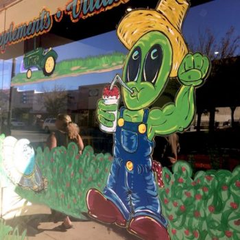 Why You Need To Visit Roswell, NM