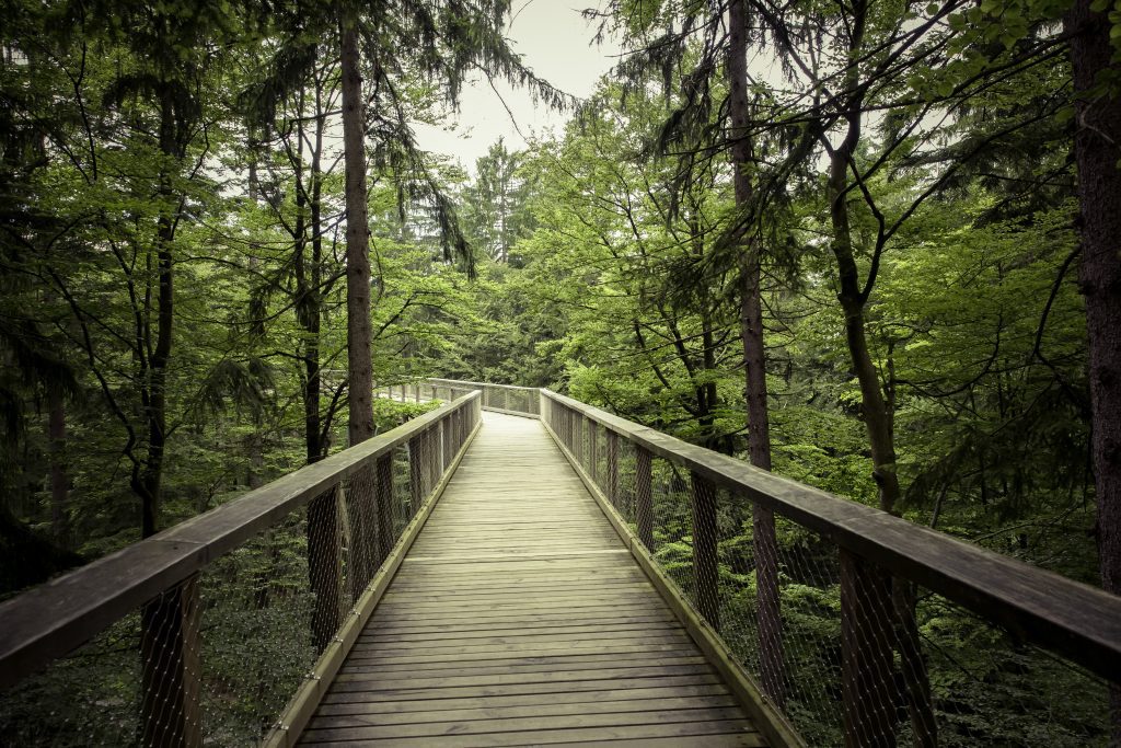 chicago Hiking Trails