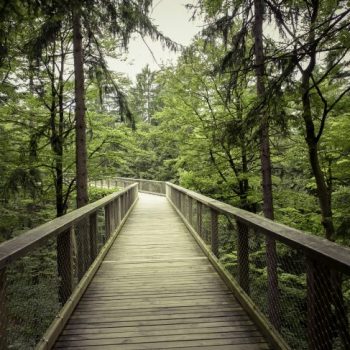 What to Look For in a Hiking Trail