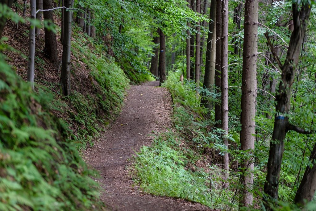 chicago hiking