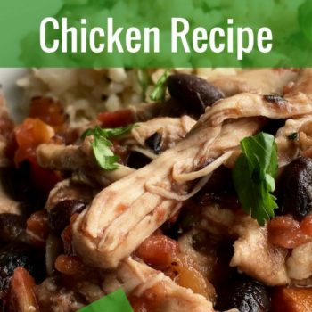 Slow Cooker Mexican Chicken ZERO Freestyle Points