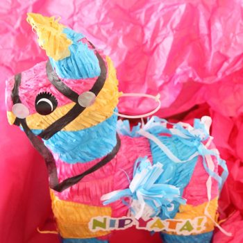 Nipyata are a fun little pinata that is perfect for your next party. Filled with booze and candy. the perfect combination.