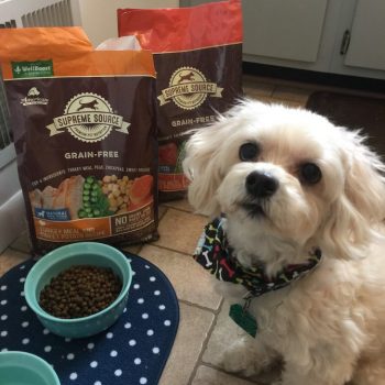 Supreme Source Pet Source