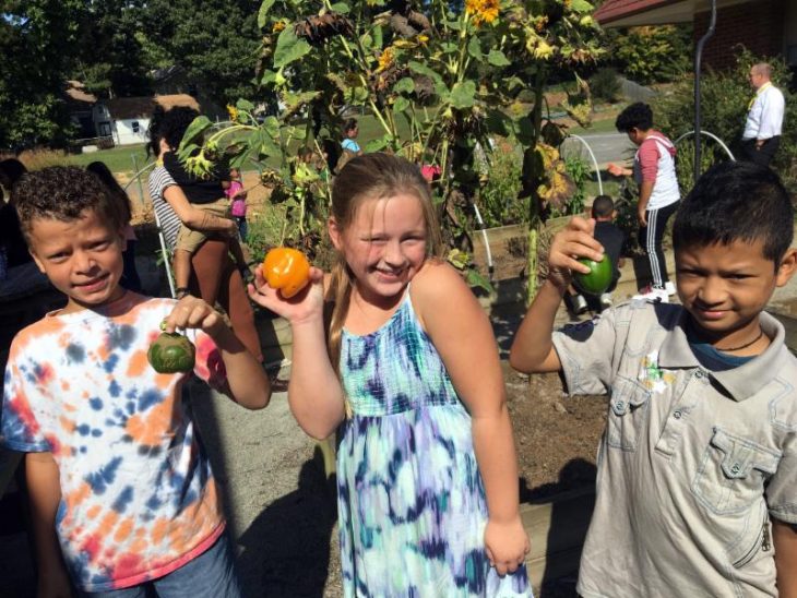 If you’ve ever thought of starting a school garden, getting kids to eat more fruits and veggies at school lunch, or finding ways to ensure they get more physical activity in and get the wiggles out during the school day so they can better focus in class, then this Action for Healthy Kids grant opportunity is for you