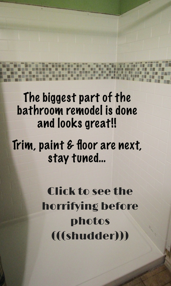 Bathroom Shower Remodel Pin