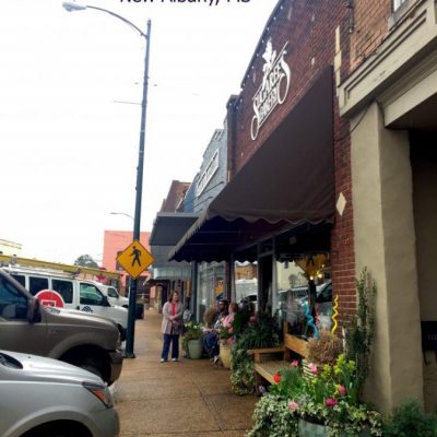 New ALbany MS