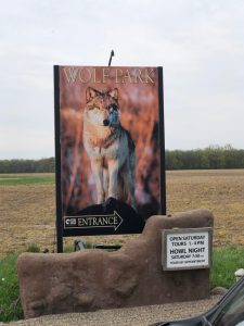 Howl with the Wolves At Wolf Park